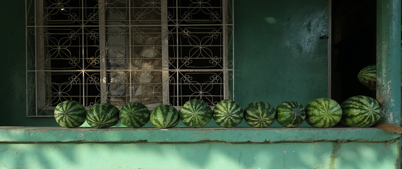 Melonen